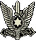 Israel Airforce logo